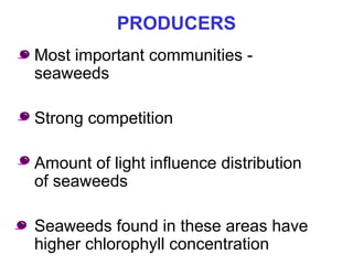 PRODUCERS
• Most important communities -
seaweeds
• Strong competition
• Amount of light influence distribution
of seaweeds
• Seaweeds found in these areas have
higher chlorophyll concentration
 