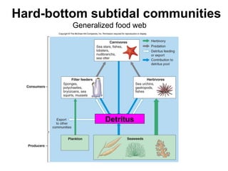 Hard-bottom subtidal communities
Generalized food web
Detritus
 