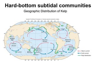 Hard-bottom subtidal communities
Geographic Distribution of Kelp
 