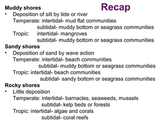 Muddy shores
• Deposition of silt by tide or river
Temperate: intertidal- mud flat communities
subtidal- muddy bottom or seagrass communities
Tropic: intertidal- mangroves
subtidal- muddy bottom or seagrass communities
Sandy shores
• Deposition of sand by wave action
Temperate: intertidal- beach communities
subtidal- muddy bottom or seagrass communities
Tropic: intertidal- beach communities
subtidal- sandy bottom or seagrass communities
Rocky shores
• Little deposition
Temperate: intertidal- barnacles, seaweeds, mussels
subtidal- kelp beds or forests
Tropic: intertidal- algae and corals
subtidal- coral reefs
Recap
 