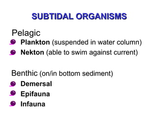 SUBTIDAL ORGANISMSSUBTIDAL ORGANISMS
• Plankton (suspended in water column)
• Nekton (able to swim against current)
Benthic (on/in bottom sediment)
• Demersal
• Epifauna
• Infauna
Pelagic
 
