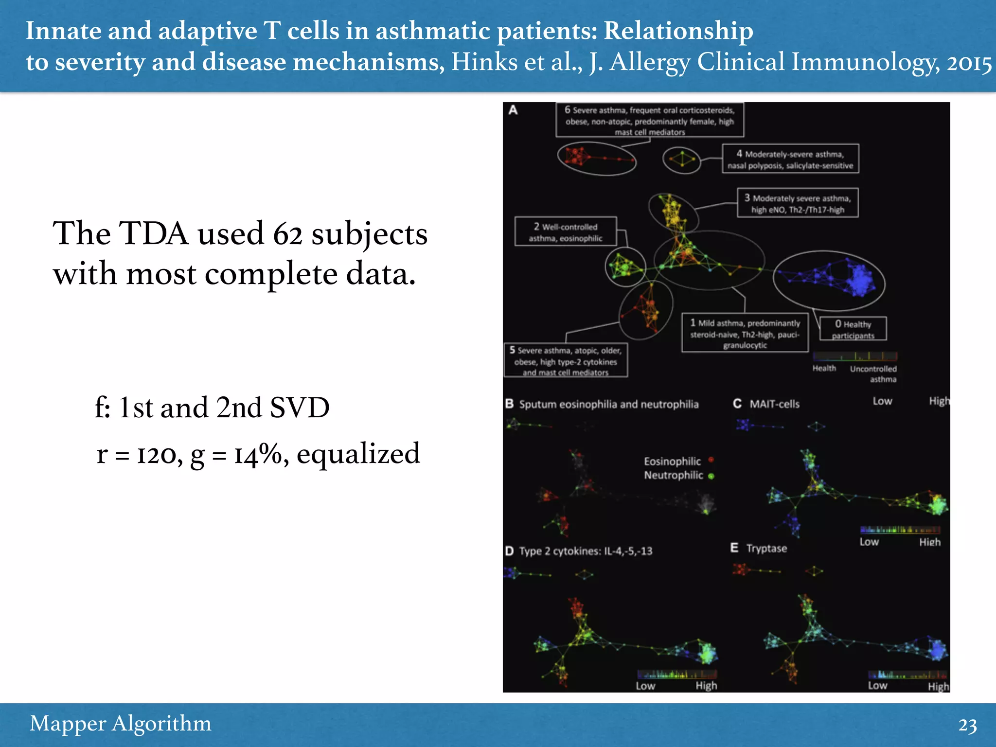Mapper Algorithm 23 Innate and adaptive T cells in asthmatic patients: Relationship to severity and disease mechanisms, Hinks et al., J. Allergy Clinical Immunology, 2015 The TDA used 62 subjects with most complete data. f: 1st and 2nd SVD r = 120, g = 14%, equalized 