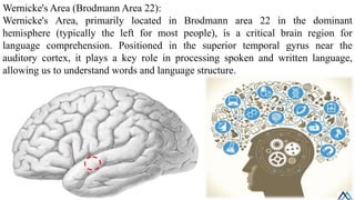 Cerebrum/ Cerebrum/ Cerebrum/ Cerebrum.pdf