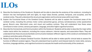 Cerebrum/ Cerebrum/ Cerebrum/ Cerebrum.pdf