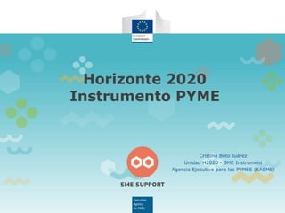 Cristina Boto Juárez
Unidad H2020 - SME Instrument
Agencia Ejecutiva para las PYMES (EASME)
Horizonte 2020
Instrumento PYME
 