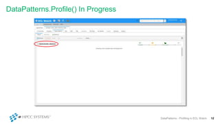 DataPatterns - Profiling in ECL Watch | PPT