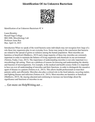 Identification Of An Unknown Bacterium
Identification of an Unknown Bacterium #C 4
Laura Bromley
Russell Sage College
BIO 208L Microbiology Lab
Professor Anne Rea
Due: April 14, 2015
Introduction When we speak of the word bacteria some individuals may not recognize how large of a
role these tiny organisms play in our everyday lives. Some may jump to the conclusion that bacteria
are related to the spread of germs or sickness among the human population. Most microbes are
harmless or beneficial (Matthews, 2015) and a large majority of these tiny microbes are extremely
important in order to maintain the balance of living organisms and chemicals in our environment
(Tortora, Funke, Case, 2013). The importance of understanding microbes is not only important in a
microbiology lab setting. There are a plethora of reasons for knowing and understanding the identity
and function of microorganisms. For example, in the medical and health science fields it is important
to have an over all understanding of microbes and their functions, in order to distinguish the causative
agent of disease in a patient (Tortora et al., 2013). This allows health professionals to treat their
patients safely and efficiently. Microbes also play a critical role in the food industry, recycling matter,
and fighting disease and infection (Tortora et al., 2013). Most microbes are harmless or beneficial
(Matthews, 2015). By staying educated and continuing to increase our knowledge about the
significance and functions of microbes in our
... Get more on HelpWriting.net ...
 