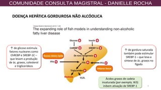 6
↑ de glicose estimula
fatores nucleares como
ChREBP e SREBP-1C –
que levam a produção
de ác. graxos, colesterol
e triglicerídeos
↑ de gordura saturada
também pode estimular
SREBP-1 – que leva a
síntese de ác. graxos no
fígado
Ácidos graxos de cadeia
insaturada (por exemplo, W3)
inibem ativação de SREBP-1
DOENÇA HEPÁTICA GORDUROSA NÃO ALCÓOLICA
 
