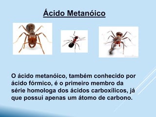 Ácido Metanóico
O ácido metanóico, também conhecido por
ácido fórmico, é o primeiro membro da
série homologa dos ácidos carboxílicos, já
que possui apenas um átomo de carbono.
 