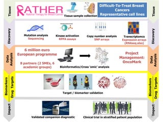 Mutation analysis 
Sequencing 
Kinase activation 
RPPA assays 
Copy number analysis 
SNP arrays 
Transcriptomcs 
Expression arrays 
(RNAseq also) 
Bioinformatics/Cross ‘omic’ analysis 
Target / biomarker validation 
Discovery 
Data 
Analysis 
Biomarkers 
Impact 
Validated companion diagnostic Clinical trial in stratified patient population 
Tissue sample collection 
Tissue 
Discovery 
Data 
Analysis 
Biomarkers 
Drug Targets 
Impact Tissue 
Drug Targets 
Difficult-To-Treat Breast 
Cancers 
Representative cell lines 
6 million euro 
European programme 
8 partners (2 SMEs, 6 
academic groups) 
Project 
Management: 
OncoMark 
10 
 