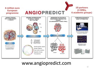 6 million euro 
European programme 
10 partners 
(4 SMEs, 
6 academic groups) 
www.angiopredict.com 
12  