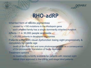 RHO-adRP 
•Inherited form of retinitis pigmentosa 
–caused by >150 mutations in the rhodopsin gene 
–each affected family has a single dominantly inherited mutation 
•Affects ~1 in 30,000 people worldwide 
–>30,000 patients in developed economies 
•Patients suffer from visual dysfunction losing sight progressively & completely by middle age 
–death of the both rod and cone photoreceptor cells as a consequence of the processing / translation of faulty rhodopsin 
•Treatment options 
–no treatments currently available for patients with retained sight 
–retinal chips approved in the US for end-stage blind patients 
14  