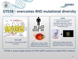 16 
GT038 – overcomes RHO mutational diversity 
RHO-adRP 
The challenge: >200 different RHO mutations 
adRP patient: single, simple 220μl subretinal injection of GT038 to the back of the eye 
GT038 
2 x AAV 2/5 vectors in fixed proportions containing: 
RHO RNAi suppression, and an 
Excess of a special RHO gene replacement gene 
RHO mutant mRNA destroyed 
RHO replacement survives due to “wobble” at certain 3rd base pairs 
+ 
GT038: a unique single solution for RHO-adRP caused by multiple RHO mutations 
 