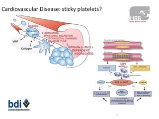 18 
Cardiovascular Disease: sticky platelets? 
 