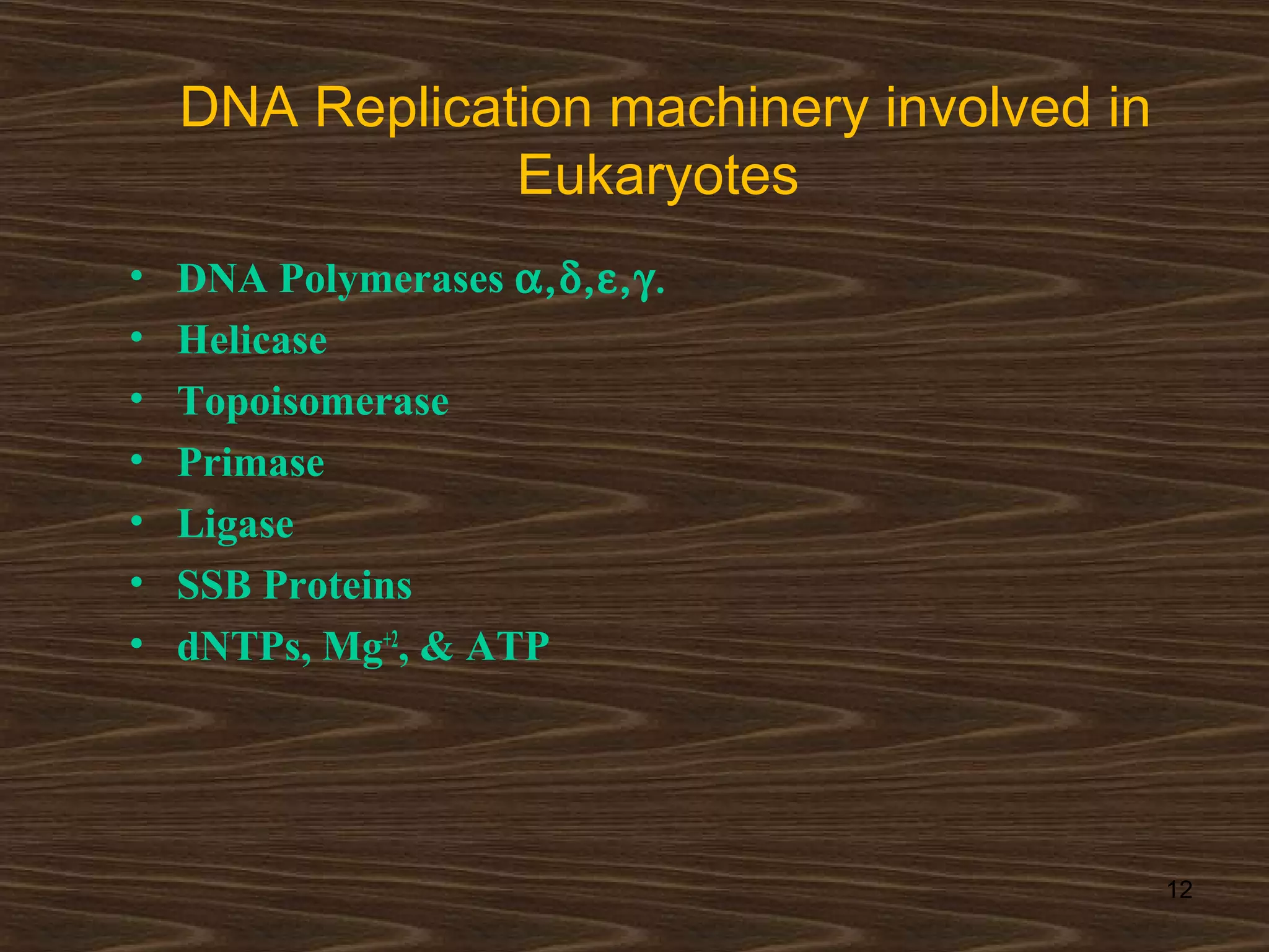 DNA Replication machinery involved in
Eukaryotes
• DNA Polymerases α,δ,ε,γ.
• Helicase
• Topoisomerase
• Primase
• Ligase
• SSB Proteins
• dNTPs, Mg+2
, & ATP
12
 