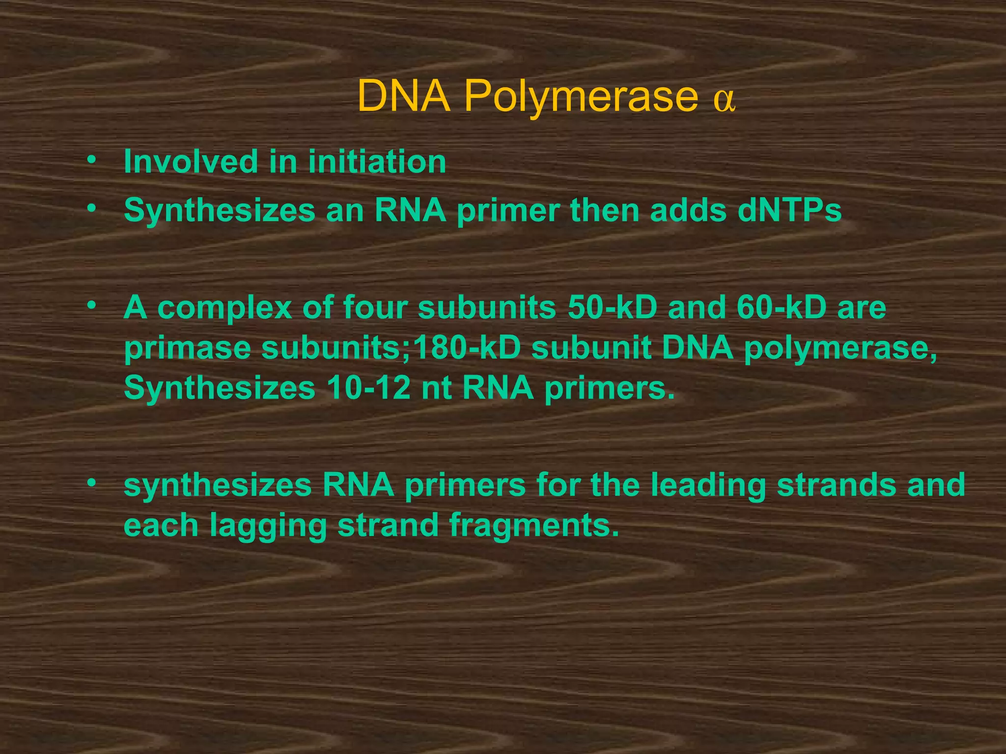 DNA Polymerase α
• Involved in initiation
• Synthesizes an RNA primer then adds dNTPs
• A complex of four subunits 50-kD and 60-kD are
primase subunits;180-kD subunit DNA polymerase,
Synthesizes 10-12 nt RNA primers.
• synthesizes RNA primers for the leading strands and
each lagging strand fragments.
 