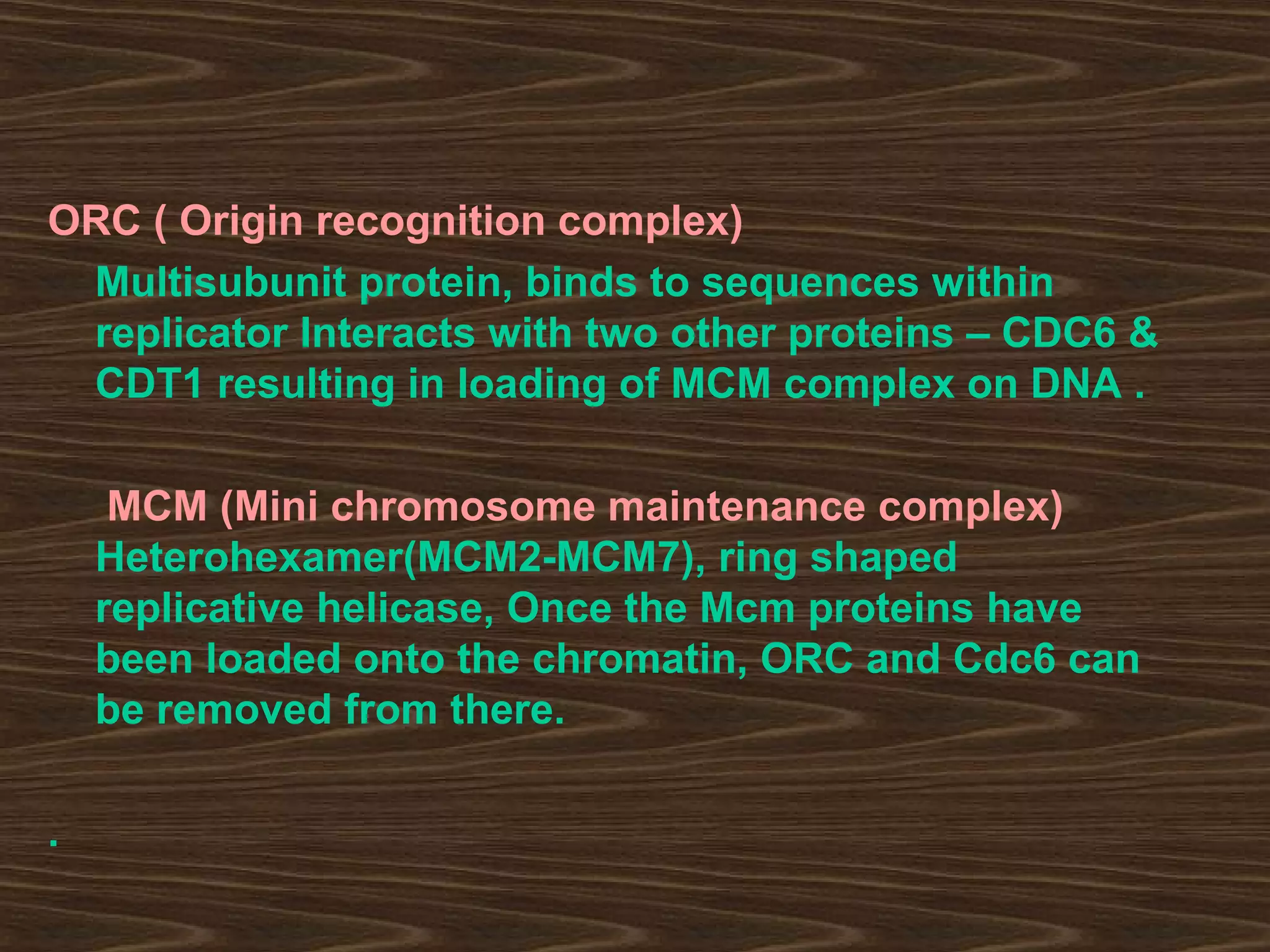 ORC ( Origin recognition complex)
Multisubunit protein, binds to sequences within
replicator Interacts with two other proteins – CDC6 &
CDT1 resulting in loading of MCM complex on DNA .
MCM (Mini chromosome maintenance complex)
Heterohexamer(MCM2-MCM7), ring shaped
replicative helicase, Once the Mcm proteins have
been loaded onto the chromatin, ORC and Cdc6 can
be removed from there.
.
 