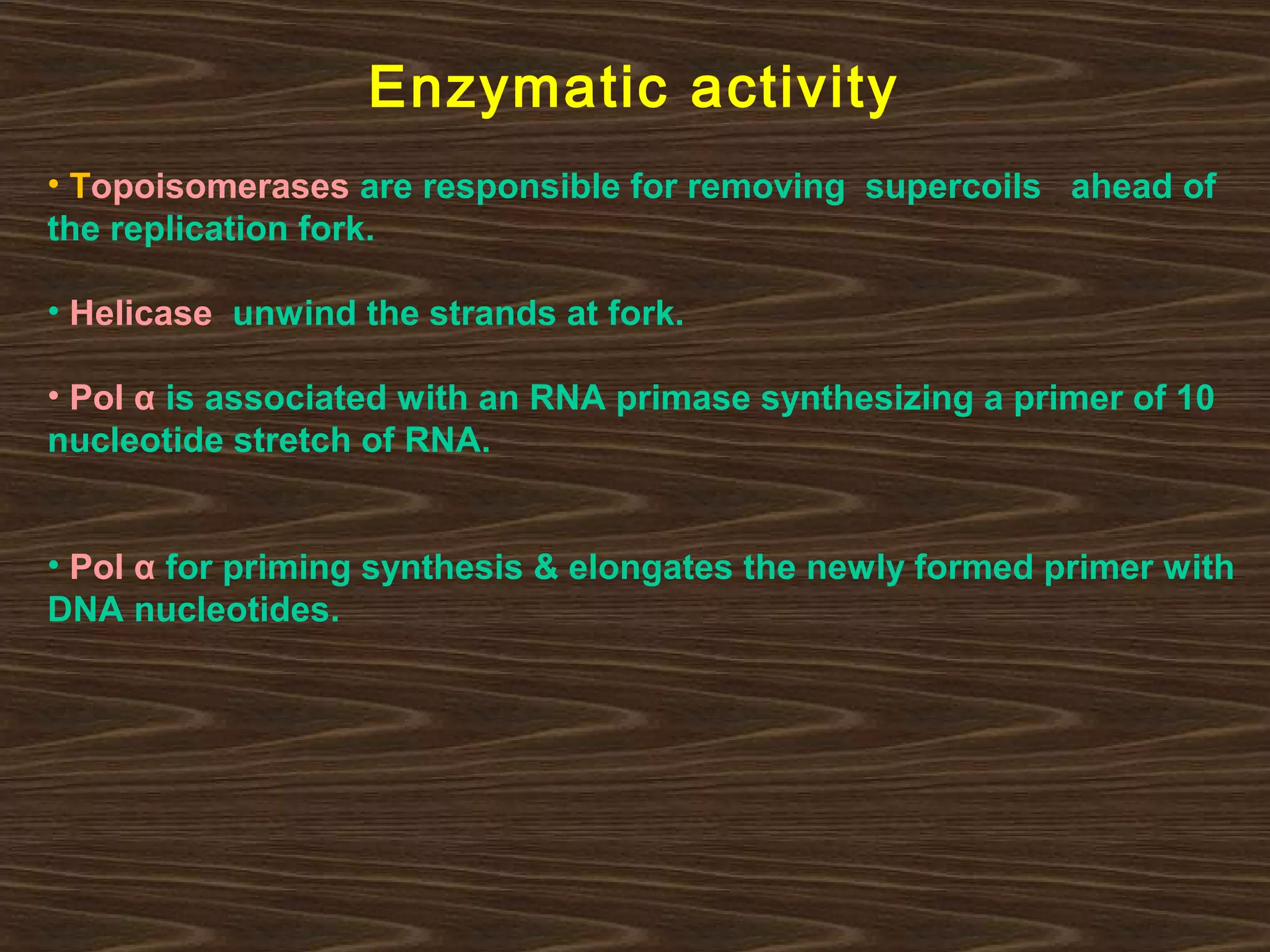 Enzymatic activity
• Topoisomerases are responsible for removing supercoils ahead of
the replication fork.
• Helicase unwind the strands at fork.
• Pol α is associated with an RNA primase synthesizing a primer of 10
nucleotide stretch of RNA.
• Pol α for priming synthesis & elongates the newly formed primer with
DNA nucleotides.
 