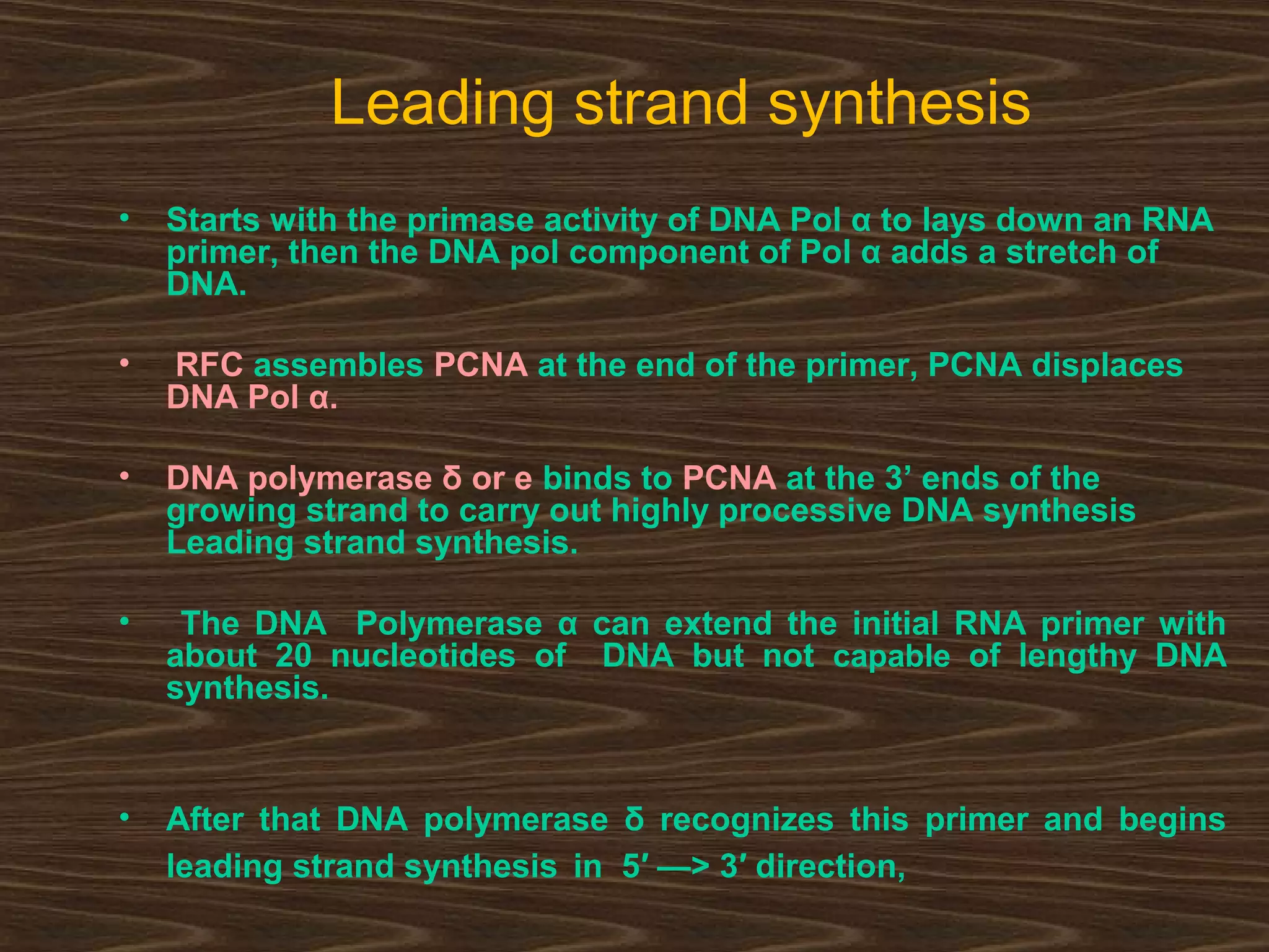 Leading strand synthesis
• Starts with the primase activity of DNA Pol α to lays down an RNA
primer, then the DNA pol component of Pol α adds a stretch of
DNA.
• RFC assembles PCNA at the end of the primer, PCNA displaces
DNA Pol α.
• DNA polymerase δ or e binds to PCNA at the 3’ ends of the
growing strand to carry out highly processive DNA synthesis
Leading strand synthesis.
• The DNA Polymerase α can extend the initial RNA primer with
about 20 nucleotides of DNA but not capable of lengthy DNA
synthesis.
• After that DNA polymerase δ recognizes this primer and begins
leading strand synthesis in 5′ —> 3′ direction,
 