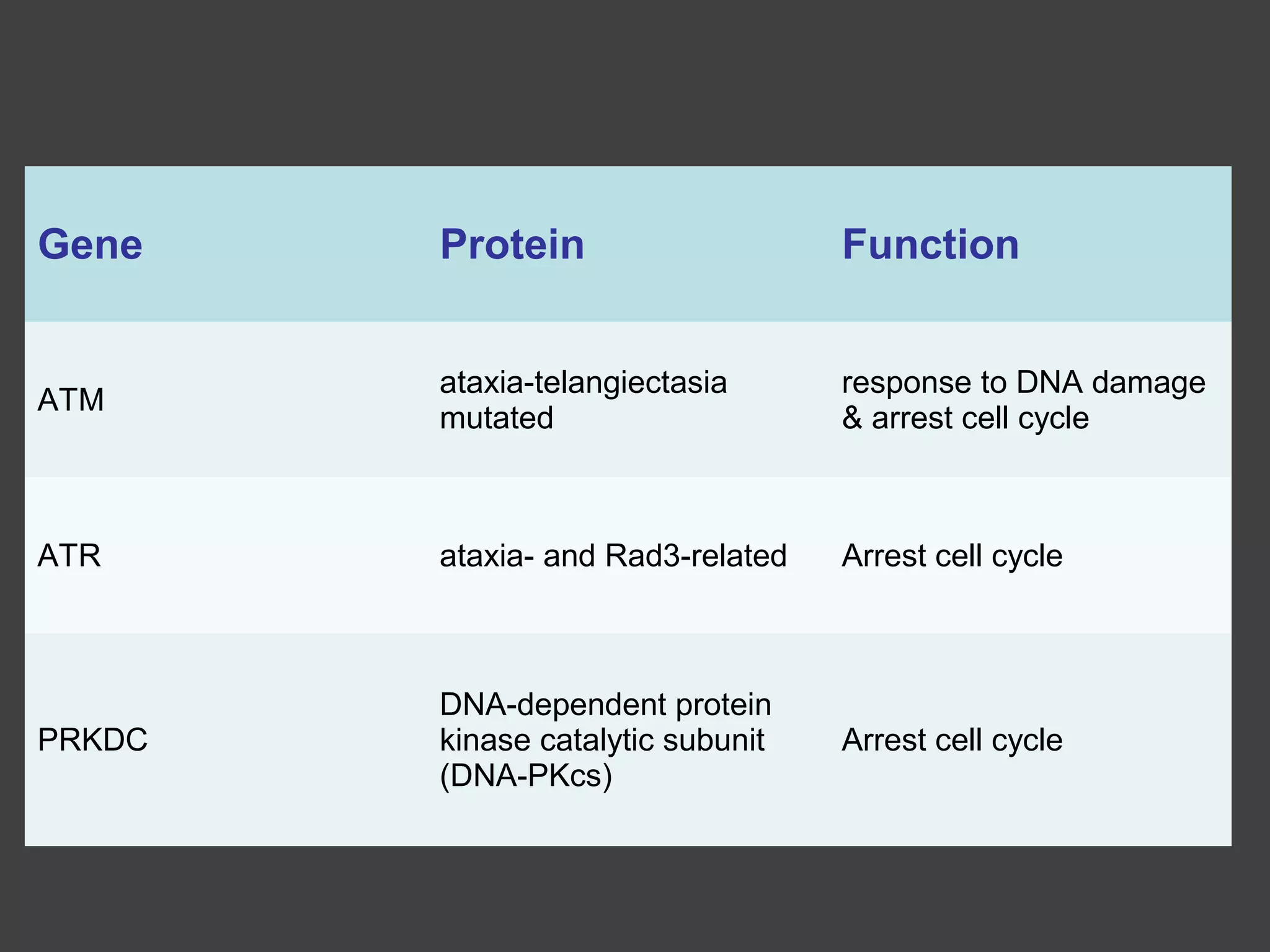 Gene Protein Function
ATM
ataxia-telangiectasia
mutated
response to DNA damage
& arrest cell cycle
ATR ataxia- and Rad3-related Arrest cell cycle
PRKDC
DNA-dependent protein
kinase catalytic subunit
(DNA-PKcs)
Arrest cell cycle
 