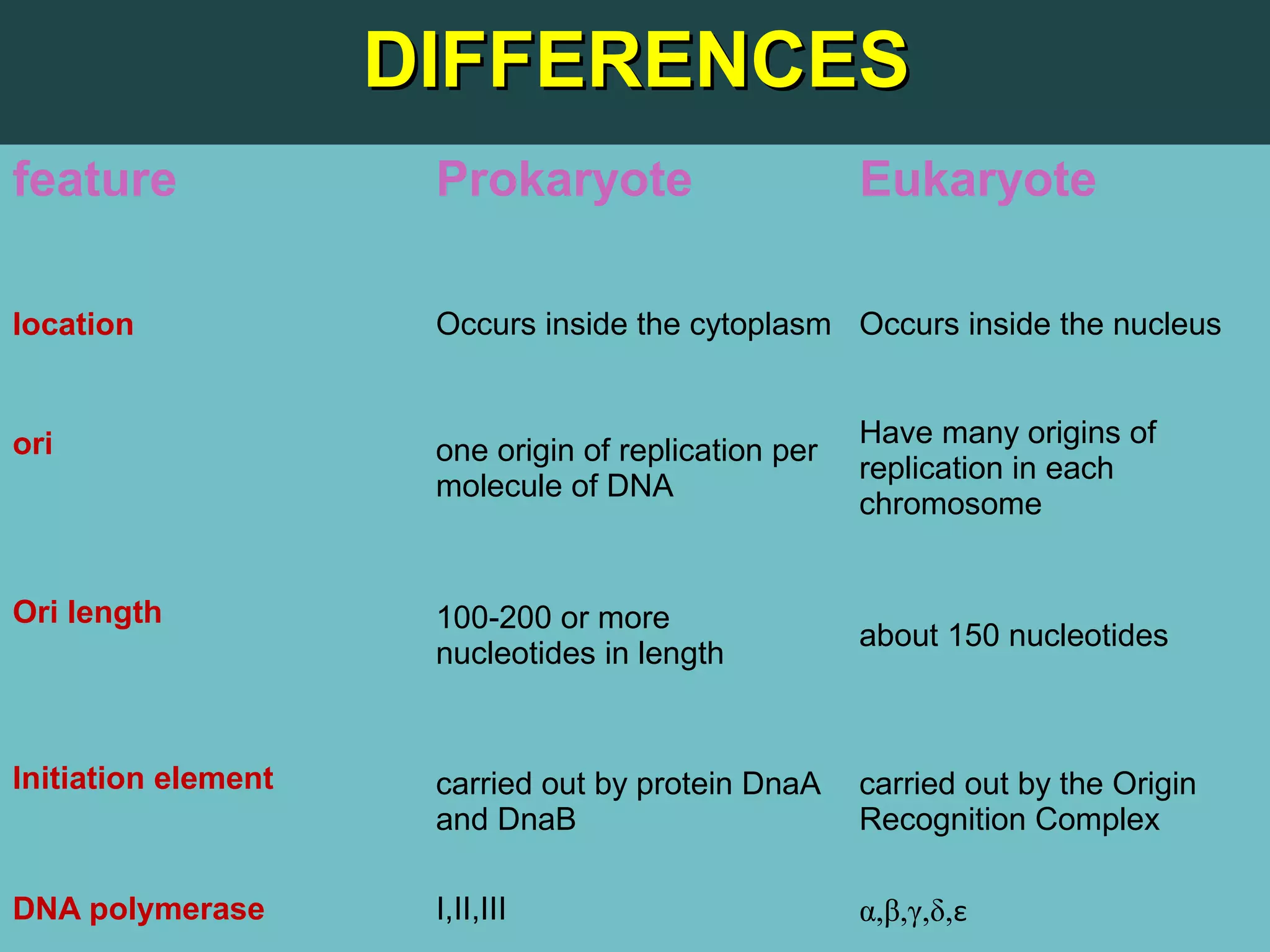 DIFFERENCESDIFFERENCES
feature Prokaryote Eukaryote
location Occurs inside the cytoplasm Occurs inside the nucleus
ori one origin of replication per
molecule of DNA
Have many origins of
replication in each
chromosome
Ori length 100-200 or more
nucleotides in length
about 150 nucleotides
Initiation element carried out by protein DnaA
and DnaB
carried out by the Origin
Recognition Complex
DNA polymerase I,II,III α,β,γ,δ,ε
 