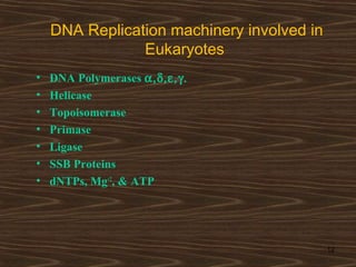 DNA Replication machinery involved in
Eukaryotes
• DNA Polymerases α,δ,ε,γ.
• Helicase
• Topoisomerase
• Primase
• Ligase
• SSB Proteins
• dNTPs, Mg+2
, & ATP
12
 
