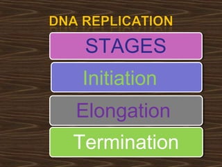 STAGES
Initiation
Elongation
Termination
 