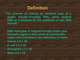 DefinitionDefinition
“The process of making an identical copy of a
duplex (double-stranded) DNA, using existing
DNA as a template for the synthesis of new DNA
strands.”
• DNA replication at heterochromatin region and
telomeric region is slow while at euchromatin
region and centromeric dna replication is faster.
• Human 3.0 x 106
• E. coli 4.5 x 103
• Drosophila 1.7 x 105
• Maize 2.0 x 106
 