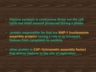 • Histone syntesis is continuous threw out the cell
cycle but most amount produced during s phase.
• protein responsible for that are NAP-1 (nucleosome
assembly protein) having a role in to transport
histone from cytoplasm to nucleus.
• other protein is CAF-1(chromatin assembly factor)
that deliver histone to the site of replication .
 