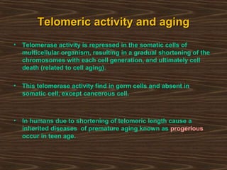 Telomeric activity and agingTelomeric activity and aging
• Telomerase activity is repressed in the somatic cells of
multicellular organism, resulting in a gradual shortening of the
chromosomes with each cell generation, and ultimately cell
death (related to cell aging).
• This telomerase activity find in germ cells and absent in
somatic cell, except cancerous cell.
• In humans due to shortening of telomeric length cause a
inherited diseases of premature aging known as progerious
occur in teen age.
 