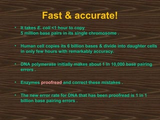 Fast & accurate!
• It takes E. coli <1 hour to copy
5 million base pairs in its single chromosome .
• Human cell copies its 6 billion bases & divide into daughter cells
in only few hours with remarkably accuracy.
• DNA polymerase initially makes about 1 in 10,000 base pairing
errors .
• Enzymes proofread and correct these mistakes .
• The new error rate for DNA that has been proofread is 1 in 1
billion base pairing errors .
 