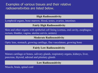 Radiosensitive Tissues 015. RADIASI 2019 (1).ppt