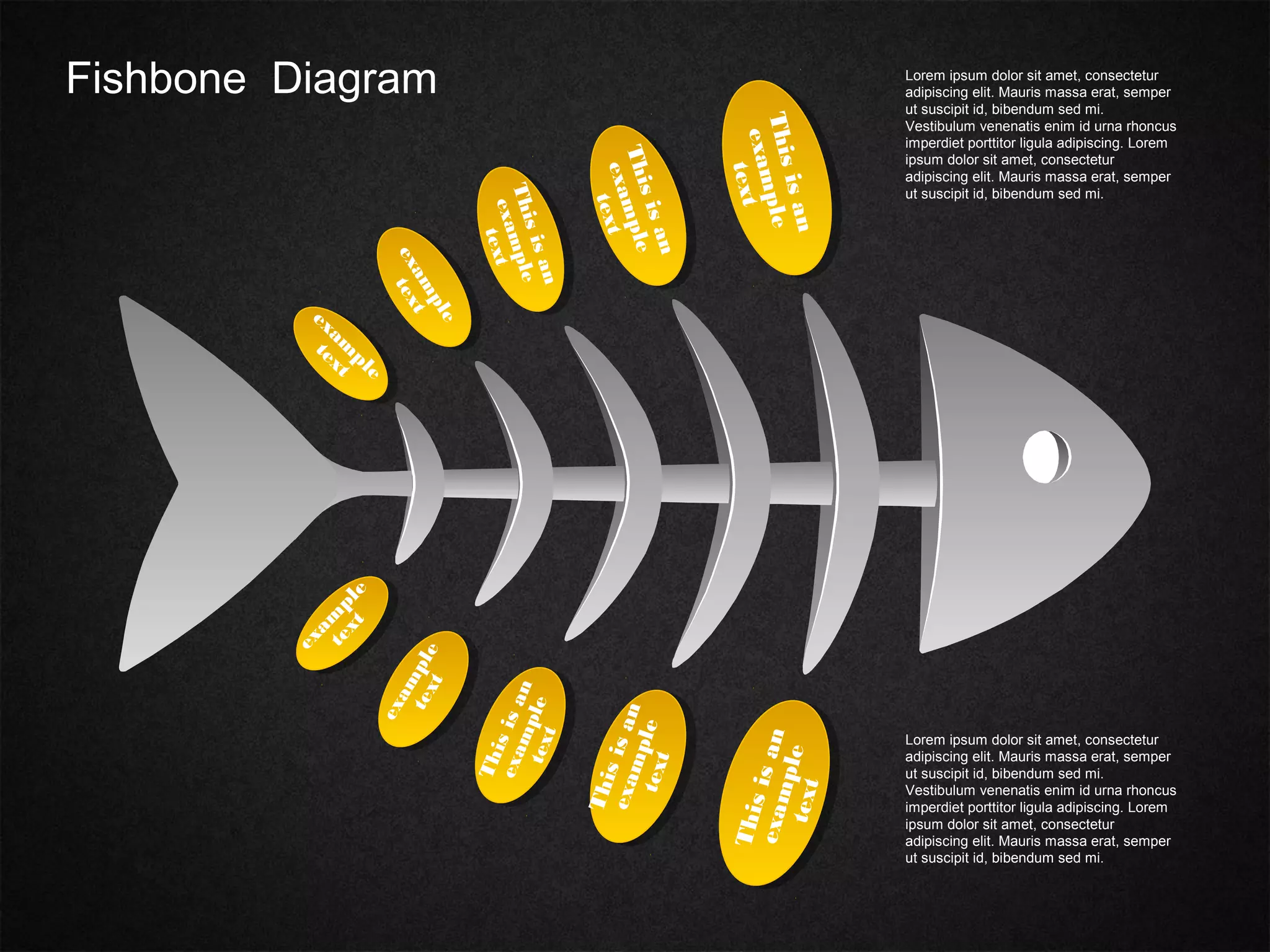 Fishbone Diagram
Thisisan
example
text
Thisisan
example
text
Thisisan
example
text
exam
ple
text
exam
ple
text
Thisisanexampletext
Thisisanexampletext
Thisisan
exampletext
exam
pletext
exam
ple
text
Lorem ipsum dolor sit amet, consectetur
adipiscing elit. Mauris massa erat, semper
ut suscipit id, bibendum sed mi.
Vestibulum venenatis enim id urna rhoncus
imperdiet porttitor ligula adipiscing. Lorem
ipsum dolor sit amet, consectetur
adipiscing elit. Mauris massa erat, semper
ut suscipit id, bibendum sed mi.
Lorem ipsum dolor sit amet, consectetur
adipiscing elit. Mauris massa erat, semper
ut suscipit id, bibendum sed mi.
Vestibulum venenatis enim id urna rhoncus
imperdiet porttitor ligula adipiscing. Lorem
ipsum dolor sit amet, consectetur
adipiscing elit. Mauris massa erat, semper
ut suscipit id, bibendum sed mi.
 