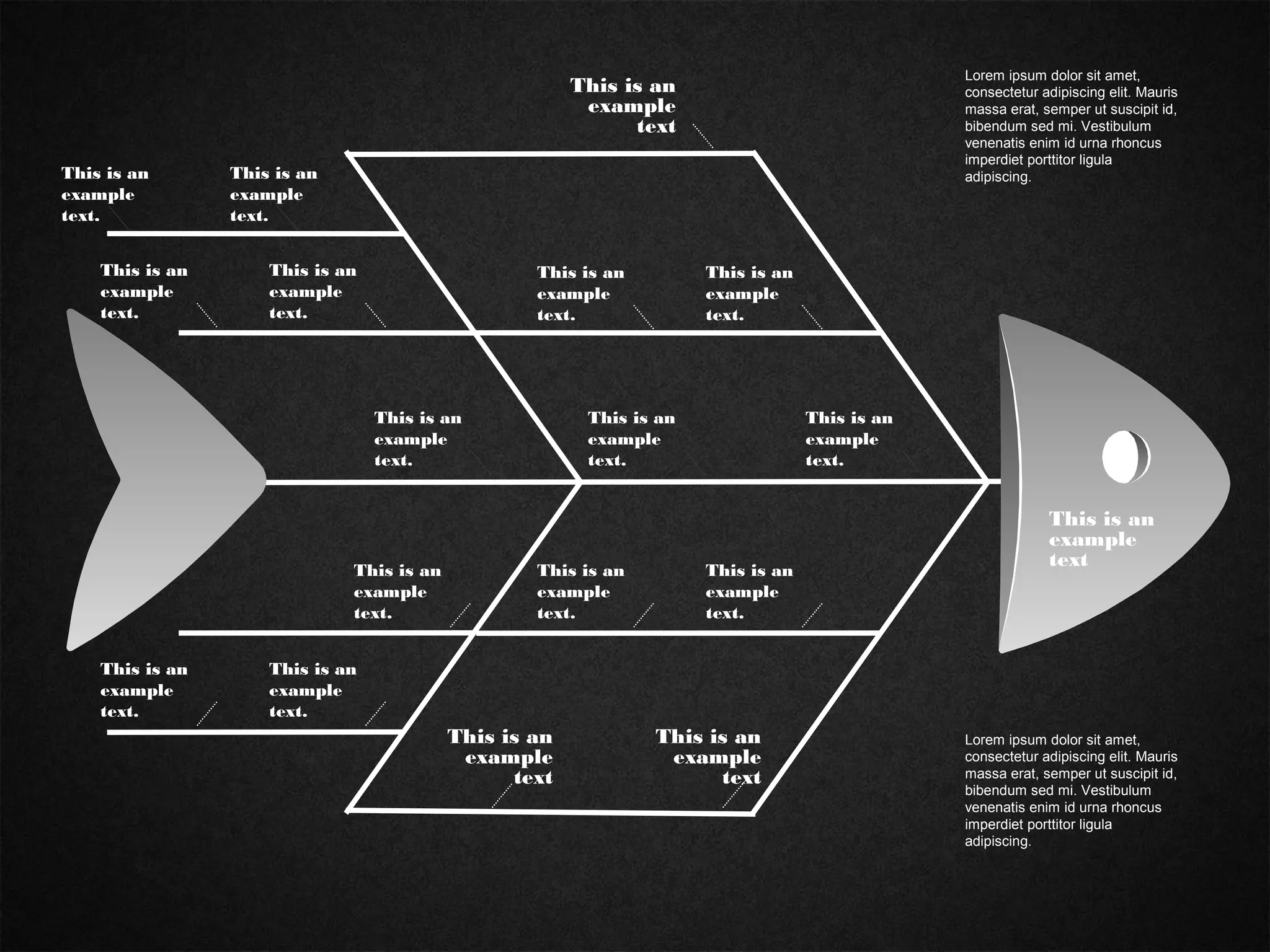 This is an
example
text
This is an
example
text
This is an
example
text.
This is an
example
text.
This is an
example
text.
This is an
example
text.
This is an
example
text.
This is an
example
text.
This is an
example
text.
This is an
example
text.
This is an
example
text.
This is an
example
text.
This is an
example
text.
This is an
example
text.
This is an
example
text
Lorem ipsum dolor sit amet,
consectetur adipiscing elit. Mauris
massa erat, semper ut suscipit id,
bibendum sed mi. Vestibulum
venenatis enim id urna rhoncus
imperdiet porttitor ligula
adipiscing.
Lorem ipsum dolor sit amet,
consectetur adipiscing elit. Mauris
massa erat, semper ut suscipit id,
bibendum sed mi. Vestibulum
venenatis enim id urna rhoncus
imperdiet porttitor ligula
adipiscing.
This is an
example
text.
This is an
example
text.
This is an
example
text
 