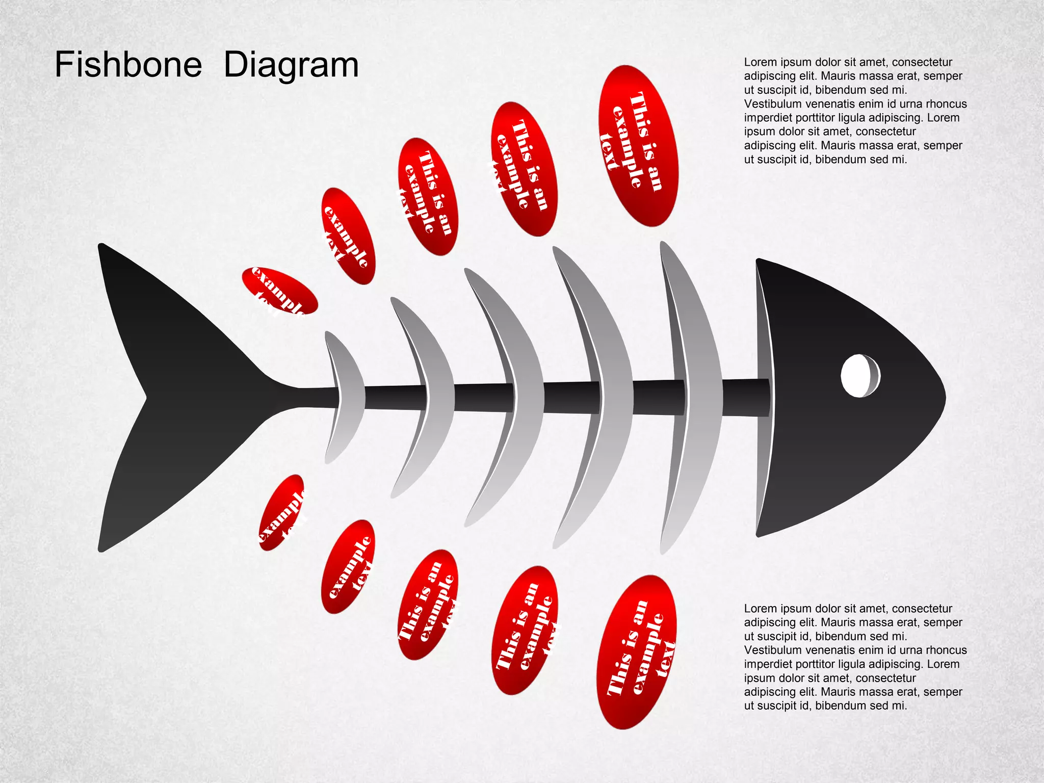 Fishbone Diagram
Thisisan
example
text
Thisisan
example
text
Thisisan
example
text
exam
ple
text
exam
ple
text
Thisisanexampletext
Thisisanexampletext
Thisisan
exampletext
exam
pletext
exam
ple
text
Lorem ipsum dolor sit amet, consectetur
adipiscing elit. Mauris massa erat, semper
ut suscipit id, bibendum sed mi.
Vestibulum venenatis enim id urna rhoncus
imperdiet porttitor ligula adipiscing. Lorem
ipsum dolor sit amet, consectetur
adipiscing elit. Mauris massa erat, semper
ut suscipit id, bibendum sed mi.
Lorem ipsum dolor sit amet, consectetur
adipiscing elit. Mauris massa erat, semper
ut suscipit id, bibendum sed mi.
Vestibulum venenatis enim id urna rhoncus
imperdiet porttitor ligula adipiscing. Lorem
ipsum dolor sit amet, consectetur
adipiscing elit. Mauris massa erat, semper
ut suscipit id, bibendum sed mi.
 