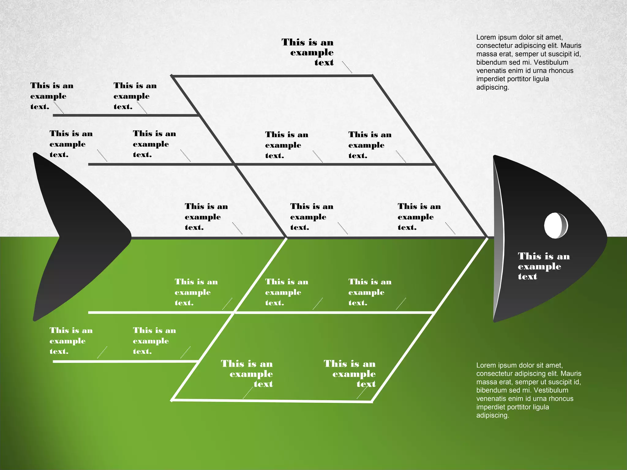 This is an
example
text
This is an
example
text
This is an
example
text.
This is an
example
text.
This is an
example
text.
This is an
example
text.
This is an
example
text.
This is an
example
text.
This is an
example
text.
This is an
example
text.
This is an
example
text.
This is an
example
text.
This is an
example
text.
This is an
example
text.
This is an
example
text
Lorem ipsum dolor sit amet,
consectetur adipiscing elit. Mauris
massa erat, semper ut suscipit id,
bibendum sed mi. Vestibulum
venenatis enim id urna rhoncus
imperdiet porttitor ligula
adipiscing.
Lorem ipsum dolor sit amet,
consectetur adipiscing elit. Mauris
massa erat, semper ut suscipit id,
bibendum sed mi. Vestibulum
venenatis enim id urna rhoncus
imperdiet porttitor ligula
adipiscing.
This is an
example
text.
This is an
example
text.
This is an
example
text
 
