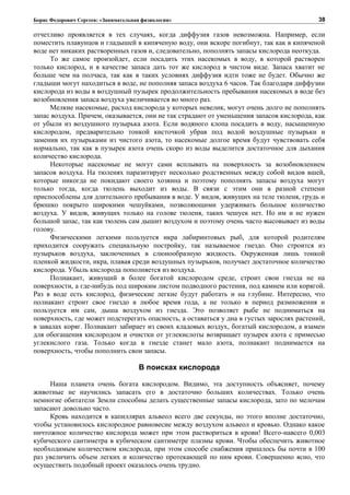 Борис Федорович Сергеев: «Занимательная физиология»
отчетливо проявляется в тех случаях, когда диффузия газов невозможна. Например, если
поместить плавунцов и гладышей в кипяченую воду, они вскоре погибнут, так как в кипяченой
воде нет никаких растворенных газов и, следовательно, пополнять запасы кислорода неоткуда.
То же самое произойдет, если посадить этих насекомых в воду, в которой растворен
только кислород, и в качестве запаса дать тот же кислород в чистом виде. Запаса хватит не
больше чем на полчаса, так как в таких условиях диффузия идти тоже не будет. Обычно же
гладыши могут находиться в воде, не пополняя запаса воздуха 6 часов. Так благодаря диффузии
кислорода из воды в воздушный пузырек продолжительность пребывания насекомых в воде без
возобновления запаса воздуха увеличивается во много раз.
Мелкие насекомые, расход кислорода у которых невелик, могут очень долго не пополнять
запас воздуха. Причем, оказывается, они не так страдают от уменьшения запасов кислорода, как
от убыли из воздушного пузырька азота. Если водяного клопа посадить в воду, насыщенную
кислородом, предварительно тонкой кисточкой убрав под водой воздушные пузырьки и
заменив их пузырьками из чистого азота, то насекомые долгое время будут чувствовать себя
нормально, так как в пузырек азота очень скоро из воды выделится достаточное для дыхания
количество кислорода.
Некоторые насекомые не могут сами всплывать на поверхность за возобновлением
запасов воздуха. На тюленях паразитирует несколько родственных между собой видов вшей,
которые никогда не покидают своего хозяина и поэтому пополнять запасы воздуха могут
только тогда, когда тюлень выходит из воды. В связи с этим они в разной степени
приспособлены для длительного пребывания в воде. У видов, живущих на теле тюленя, грудь и
брюшко покрыто широкими чешуйками, позволяющими удерживать большое количество
воздуха. У видов, живущих только на голове тюленя, таких чешуек нет. Но им и не нужен
большой запас, так как тюлень сам дышит воздухом и поэтому очень часто высовывает из воды
голову.
Физическими легкими пользуется икра лабиринтовых рыб, для которой родителям
приходится сооружать специальную постройку, так называемое гнездо. Оно строится из
пузырьков воздуха, заключенных в слюнообразную жидкость. Окруженная лишь тонкой
пленкой жидкости, икра, плавая среди воздушных пузырьков, получает достаточное количество
кислорода. Убыль кислорода пополняется из воздуха.
Полиакант, живущий в более богатой кислородом среде, строит свои гнезда не на
поверхности, а где-нибудь под широким листом подводного растения, под камнем или корягой.
Раз в воде есть кислород, физические легкие будут работать и на глубине. Интересно, что
полиакант строит свое гнездо в любое время года, а не только в период размножения и
пользуется им сам, дыша воздухом из гнезда. Это позволяет рыбе не подниматься на
поверхность, где может подстерегать опасность, а оставаться у дна в густых зарослях растений,
в завалах коряг. Полиакант забирает из своих кладовых воздух, богатый кислородом, а взамен
для обогащения кислородом и очистки от углекислоты возвращает пузырек азота с примесью
углекислого газа. Только когда в гнезде станет мало азота, полиакант поднимается на
поверхность, чтобы пополнить свои запасы.
В поисках кислорода
Наша планета очень богата кислородом. Видимо, эта доступность объясняет, почему
животные не научились запасать его в достаточно больших количествах. Только очень
немногие обитатели Земли способны делать существенные запасы кислорода, зато по мелочам
запасают довольно часто.
Кровь находится в капиллярах альвеол всего две секунды, но этого вполне достаточно,
чтобы установилось кислородное равновесие между воздухом альвеол и кровью. Однако какое
ничтожное количество кислорода может при этом раствориться в крови! Всего-навсего 0,003
кубического сантиметра в кубическом сантиметре плазмы крови. Чтобы обеспечить животное
необходимым количеством кислорода, при этом способе снабжения пришлось бы почти в 100
раз увеличить объем легких и количество протекающей по ним крови. Совершенно ясно, что
осуществить подобный проект оказалось очень трудно.
38
 