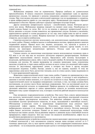 Борис Федорович Сергеев: «Занимательная физиология»
страшный вид.
Жабовидные ящерицы этим не ограничились. Природа снабдила их удивительным
приспособлением. В минуту опасности специальный мускул пережимает один из крупных
кровеносных сосудов, что приводит к резкому повышению давления в кровеносных сосудах
головы. При этом мелкие сосудики в мигательной перепонке глаз не выдерживают и лопаются,
и кровь выбрызгивается прямо из глаз навстречу врагу. Неожиданный душ нередко обращает
нападающего в бегство. Оружие действует в радиусе примерно полутора метров.
Другое назначение запирательного мускула – способствовать линьке. Рептилии растут
почти всю жизнь. Жабовидные ящерицы каждый год меняют свою кожу. Освободиться от
старой одежды бывает не легко. Вот тут-то на помощь и приходит запирательный мускул.
Когда давление в сосудах головы повысится, все кровеносные сосуды, большие и маленькие,
переполняются кровью и голова раздувается до тех пор, пока старая кожа на ней не лопнет.
Дальнейшая процедура не сложна. Ящерица выползает из своей шкуры через образовавшееся
отверстие, как из ворота комбинезона.
Сердечно-сосудистую систему использовать для дополнительных надобностей оказалось
не очень удобно. Однако, изобретя насосы и сообщающиеся системы, природа решила заняться
гидравликой всерьез. Прежде всего она, видимо, догадалась, что, нагнетая в полости и
межтканевые пространства жидкость, можно значительно повысить тургор тканей, то есть
придать им некоторую механическую прочность. Отсюда один шаг до создания
гидростатического скелета.
Смешно сказать, но аналогичные конструкции начали использоваться человеком лишь в
XX веке и до сих пор еще не получили достаточно широкого распространения. Особенно
эффективно использование сжатого воздуха. Представьте себе колонну бульдозеров и
вездеходов, пробившуюся сквозь тайгу к месту будущей стройки. В считанные часы расчищена
площадка для поселка. Из машин выгружены не слишком громоздкие тюки, подключены
насосные устройства, и через каких-нибудь полчаса на месте только что сведенной тайги вырос
поселок из двухэтажных парусиновых домов, в которых все балки и другие несущие
конструкции надувные. Удобно, быстро, дешево и, как ни странно, надежно. К тому же
парусиновые дома могут быть достаточно теплыми, если их стены сделать также надувными из
2–3 слоев прорезиненной парусины.
Животным гидростатический скелет тоже очень удобен. Главное его преимущество в том,
что он может создаваться только на тот период, когда нужен. А исчезнет в нем потребность,
давление в системе можно понизить, и от скелета не останется и следа. Правда, по надежности
гидростатический скелет не выдержал конкуренции с костным, и там, где опоры должны быть
постоянными, он уступил место более прочным сооружениям. Зато где постоянный скелет не
нужен, преимущество осталось за гидравликой. Природа пронесла это изобретение через всю
эволюцию животного царства от самых примитивных существ до человека включительно.
Примером тому служат пещеристые тела, в которых в качестве рабочей жидкости используется
кровь.
Еще интереснее гидродинамические устройства. Они могут быть совсем примитивными
или достигать значительной степени сложности. К числу простейших конструкций относятся
выводные сифоны двустворчатых моллюсков. Эти животные добывают кислород и пищу,
мельчайшие кусочки органического вещества, из воды, засасываемой в мантийную полость.
Обогащенная углекислым газом и загрязненная экскрементами вода уносится через
специальный сифон наружу. Моллюск, безусловно, заинтересован, чтобы отходы
выбрасывались подальше и не попадали обратно в мантийную полость. Поэтому выводной
сифон бывает достаточно длинным. Однако он не имеет специальной мускулатуры, чтобы
вытянуться как можно дальше. Когда раковина закрыта и движение воды в мантийной полости
прекращается, сифон спадается. Зато как только ток жидкости возобновляется, сифон под ее
воздействием распрямляется и вытягивается.
Гидродинамические устройства в конечностях пауков выполняют двигательную функцию.
Сгибание конечностей у этих восьминогих существ, каждая лапка которых состоит из 6–7
члеников, происходит, как и у всех прочих животных, за счет сокращения специальных мышц,
а разгибание – из-за повышения давления внутри одетых в хитиновую броню конечностей.
55
 