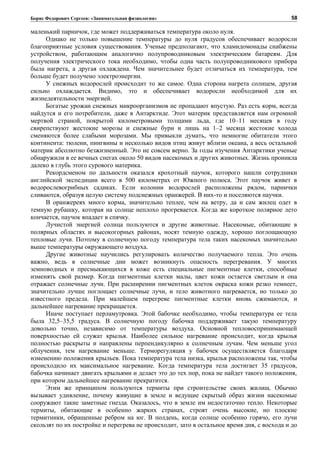 Борис Федорович Сергеев: «Занимательная физиология»
маленький парничок, где может поддерживаться температура около нуля.
Однако не только повышение температуры до нуля градусов обеспечивает водоросли
благоприятные условия существования. Ученые предполагают, что хламидомонады снабжены
устройством, работающим аналогично полупроводниковым электрическим батареям. Для
получения электрического тока необходимо, чтобы одна часть полупроводникового прибора
была нагрета, а другая охлаждена. Чем значительнее будет отличаться их температура, тем
больше будет получено электроэнергии.
У снежных водорослей происходит то же самое. Одна сторона нагрета солнцем, другая
сильно охлаждается. Видимо, это и обеспечивает водоросли необходимой для их
жизнедеятельности энергией.
Богатые урожаи снежных микроорганизмов не пропадают впустую. Раз есть корм, всегда
найдутся и его потребители, даже в Антарктиде. Этот материк представляется нам огромной
мертвой страной, покрытой километровыми толщами льда, где 10–11 месяцев в году
свирепствуют жестокие морозы и снежные бури и лишь на 1–2 месяца жестокие холода
сменяются более слабыми морозами. Мы привыкли думать, что немногие обитатели этого
континента: тюлени, пингвины и несколько видов птиц живут вблизи океана, а весь остальной
материк абсолютно безжизненный. Это не совсем верно. За годы изучения Антарктики ученые
обнаружили в ее вечных снегах около 50 видов насекомых и других животных. Жизнь проникла
далеко в глубь этого сурового материка.
Рекордсменом по дальности оказался крохотный паучок, которого нашли сотрудники
английской экспедиции всего в 500 километрах от Южного полюса. Этот паучок живет в
водорослевогрибных садиках. Если колонии водорослей расположены рядом, парнички
сливаются, образуя целую систему подснежных оранжерей. В них-то и поселяются паучки.
В оранжереях много корма, значительно теплее, чем на ветру, да и сам жилец одет в
темную рубашку, которая на солнце неплохо прогревается. Когда же короткое полярное лето
кончается, паучок впадает в спячку.
Лучистой энергией солнца пользуются и другие животные. Насекомые, обитающие в
полярных областях и высокогорных районах, носят темную одежду, хорошо поглощающую
тепловые лучи. Поэтому в солнечную погоду температура тела таких насекомых значительно
выше температуры окружающего воздуха.
Другие животные научились регулировать количество получаемого тепла. Это очень
важно, ведь в солнечные дни может возникнуть опасность перегревания. У многих
земноводных и пресмыкающихся в коже есть специальные пигментные клетки, способные
изменять свой размер. Когда пигментные клетки малы, цвет кожи остается светлым и она
отражает солнечные лучи. При расширении пигментных клеток окраска кожи резко темнеет,
значительно лучше поглощает солнечные лучи, и тело животного нагревается, но только до
известного предела. При малейшем перегреве пигментные клетки вновь сжимаются, и
дальнейшее нагревание прекращается.
Иначе поступает перламутровка. Этой бабочке необходимо, чтобы температура ее тела
была 32,5–35,5 градуса. В солнечную погоду бабочка поддерживает такую температуру
довольно точно, независимо от температуры воздуха. Основной тепловоспринимающей
поверхностью ей служат крылья. Наиболее сильное нагревание происходит, когда крылья
полностью раскрыты и направлены перпендикулярно к солнечным лучам. Чем меньше угол
облучения, тем нагревание меньше. Терморегуляция у бабочек осуществляется благодаря
изменению положения крыльев. Пока температура тела низка, крылья расположены так, чтобы
происходило их максимальное нагревание. Когда температура тела достигает 35 градусов,
бабочка начинает двигать крыльями и делает это до тех пор, пока не найдет такого положения,
при котором дальнейшее нагревание прекратится.
Этим же принципом пользуются термиты при строительстве своих жилищ. Обычно
вызывает удивление, почему живущие в земле и ведущие скрытый образ жизни насекомые
сооружают такие заметные гнезда. Оказалось, что в земле им недостаточно тепло. Некоторые
термиты, обитающие в особенно жарких странах, строят очень высокие, но плоские
термитники, обращенные ребром на юг. В полдень, когда солнце особенно горячо, его лучи
скользят по их постройке и перегрева не происходит, зато в остальное время дня, с восхода и до
58
 