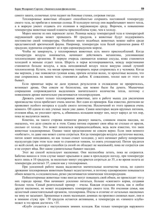 Борис Федорович Сергеев: «Занимательная физиология»
самого заката, солнечные лучи падают на боковые стенки, согревая гнездо.
Теплокровные животные обладают способностью сохранять постоянной температуру
своего тела, не прибегая к помощи солнца. В холодную погоду они вырабатывают много тепла,
а в жаркую умеют отдавать его излишки в окружающую среду. Впрочем, к повышению
температуры животные нашей планеты приспособлены хуже, чем к холоду.
Мороз многие из них переносят легко. Разница между температурой тела и температурой
окружающей среды может превышать 80 градусов, а животные будут поддерживать
постоянство своей температуры. Особенно много подобных животных можно найти среди
представителей арктической фауны. Например, температура тела белой куропатки равна 43
градусам; куропатка сохраняет ее и при сорокаградусном морозе.
Чтобы не замерзнуть, у теплокровных животных есть много приспособлений. Когда
температура воздуха понижается, начинают действовать механизмы, усиливающие
теплоизоляцию организма. В первую очередь сжимаются кожные сосуды, кожа становится
холодной и меньше отдает тепла. Шерсть и перья встопорщиваются, между шерстинками
становится больше воздуха, а ведь неподвижный воздух после вакуума самый лучший
теплоизолятор. Кстати, эта милая привычка топорщить перья сохранилась и у человека. Когда
мы мерзнем, у нас появляется гусиная кожа, причем остатки волос, те крохотные волоски, что
еще сохранились на нашем теле, становятся дыбом. К сожалению, теплее нам от этого не
бывает.
Если принятые меры не дали нужных результатов и охлаждение не прекратилось,
возникает дрожь. Она совсем не бесполезна, как можно было бы думать. Мышечные
сокращения сопровождаются выделением значительного количества тепла, поэтому с
появлением дрожи значительно увеличивается теплопродукция.
Дрожать умеют только теплокровные животные, зато к работе мышц для увеличения
производства тепла прибегают очень многие. Вот один из примеров. Как известно, рептилии не
проявляют особого интереса к судьбе своего потомства. Исключений из этого правила очень
немного. Об одном из них ученые знали уже давно. Самки некоторых видов крупных питонов,
отложив яйца, не уползают прочь, а, обвившись кольцами вокруг них, несут караул до тех пор,
пока не вылупятся змеята.
Конечно, на такого сторожа немногие рискнут напасть, слишком опасна наседка, но
оказалось, что дело совсем не в этом. Самка питона охраняет свои яйца не столько от врагов,
сколько от холода. Это может показаться неправдоподобным, ведь всем известно, что змеи
животные хладнокровные. Однако такое представление не совсем верно. Если змея немного
«побегает», то даже она может слегка согреться. Когда температура воздуха достаточно высока,
питон лежит неподвижно, но как только станет холоднее, у него начинает работу поперечная
мускулатура (при этом тело змеи то становится тонким, то опять утолщается). Питон трудится
со всей силой, на которую способен (а силой он обладает не маленькой), пока не согреется сам
и не согреет яйца. Вот какие удивительные бывают наседки.
Этот же способ используют насекомые. Они неспособны летать, пока не согреются.
Бабочка ванесса в этом случае машет крыльями и даже в прохладную погоду, при температуре
всего лишь в 10 градусов, за несколько минут умудряется согреться до 35, а во время полета ее
температура достигает 37, совсем как у теплокровных.
При усиленной работе мышц выделяются значительные количества тепла, но одного
дрожания теплокровным животным бывает недостаточно, и поэтому одновременно повышается
обмен веществ, а следовательно, резко увеличивается химическая теплопродукция.
Пойкилотермные животные тоже иногда могут повышать свой обмен, но происходит это у
них гораздо проще. Они начинают усиленно питаться, больше «сжигают» корма, создавая
больше тепла. Самый разительный пример – пчелы. Каждая отдельная пчела, как и любое
другое насекомое, не может поддерживать температуру своего тела. Но пчелиная семья, как
целостный самостоятельный организм, теплокровна. Пчелы в отличие от остальных насекомых
на зиму не засыпают. Брошенные в своих маленьких домиках на произвол снежных вьюг, они и
в зимнюю стужу при −30 градусов остаются активными, а температура их «зимнего клуба»
может в это время достигать +35.
«Клуб» создается с наступлением зимних холодов. Как только температура наружного
59
 