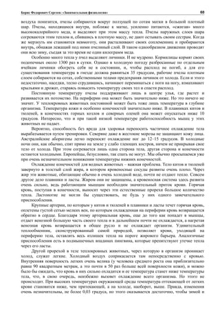 Борис Федорович Сергеев: «Занимательная физиология»
воздуха понизится, пчелы собираются вокруг ползущей по сотам матки в большой плотный
шар. Пчелы, находящиеся внутри, поближе к матке, усиленно питаются, «сжигая» много
высококалорийного меда, и выделяют при этом массу тепла. Пчелы наружных слоев шара
согреваются этим теплом и, сбившись в плотную массу, не дают остывать своим сестрам. Когда
же мерзнуть им становится невмоготу, они расталкивают своих соплеменниц и пробираются
внутрь, обнажая лежащий под ними пчелиный слой. В таком однообразном движении проводят
они всю зиму, съедая за это время не один килограмм меда.
Особенно много тепла у пчел выделяют личинки. И не мудрено. Кормилицы кормят своих
подопечных около 1300 раз в сутки. Однако в холодную погоду разбросанные по отдельным
ячейкам личинки обогреть себя не в состоянии, и, чтобы расплод не погиб, а для его
существования температура в гнезде должна равняться 35 градусам, рабочие пчелы плотным
слоем собираются на сотах, собственными телами предохраняя личинок от холода. Если и этого
недостаточно, наседки, тесно сгрудившись, начинают переминаться с ноги на ногу, взмахивают
крыльями и дрожат, стараясь повысить температуру своих тел и спасти расплод.
Постоянную температуру пчелы поддерживают лишь в центре улья, где растет и
развивается их потомство. На периферии она может быть значительно ниже. Но это ничего не
значит. У теплокровных животных постоянной может быть тоже лишь температура в глубине
организма. Температура кожи и особенно конечностей значительно ниже. В плавниках китов и
тюленей, в конечностях горных козлов и северных оленей она может опускаться ниже 10
градусов. Интересно, что и при такой низкой температуре работоспособность мышц у этих
животных не падает.
Вероятно, способность без вреда для здоровья переносить частичное охлаждение тела
вырабатывается путем тренировки. Северяне даже в жестокие морозы не защищают кожу лица.
Австралийские аборигены легко переносят охлаждение ног до 12–15 градусов. В холодные
ночи они, как обычно, спят прямо на земле у слабо тлеющих костров, ничем не прикрывая свое
тело от холода. При этом согревается лишь одна сторона тела, другая сторона и конечности
остаются холодными. Европейцы, безусловно, так спать не могут. Мы обычно просыпаемся уже
при очень незначительном понижении температуры нижних конечностей.
Охлаждение конечностей для водных животных – важная проблема. Тело китов и тюленей
завернуто в толстый слой жира, в котором кровеносные сосуды развиты очень плохо. Через
жир эти животные, обитающие обычно в очень холодной воде, почти не отдают тепло. Совсем
другое дело плавники и ласты. Жиром они не защищены, а кровеносная система здесь развита
очень сильно, ведь работающим мышцам необходим значительный приток крови. Горячая
кровь, поступая в конечности, выносит через эти естественные прорехи большое количество
тепла. Ластоногие не могли бы существовать, не будь у них одного замечательного
приспособления.
Крупные артерии, по которым у китов и тюленей в плавники и ласты течет горячая кровь,
оплетены густой сетью мелких вен, по которым охлажденная на периферии кровь возвращается
обратно в сердце. Благодаря этому артериальная кровь, еще до того как попадет в мышцы,
отдает венозной большую часть своего тепла и в дальнейшем почти не охлаждается, а нагретая
венозная кровь возвращается в общее русло и не охлаждает организм. Удивительный
теплообменник, сконструированный самой природой, позволяет крови, уходящей на
периферию тела, оставлять весь излишек тепла на пороге жирового барьера. Аналогичные
приспособления есть в подмышечных впадинах пингвина, которые препятствуют утечке тепла
через его ласты.
Другой прорехой в теле теплокровных животных, через которую в организм проникает
холод, служат легкие. Холодный воздух соприкасается там непосредственно с кровью.
Внутренняя поверхность легких очень велика (у человека среднего роста она приблизительно
равна 90 квадратным метрам, а это почти в 50 раз больше всей поверхности кожи), и можно
было бы ожидать, что кровь в них сильно охладится и ее температура станет ниже температуры
тела, что, в свою очередь, неизбежно вызовет охлаждение всего организма. Но этого не
происходит. При высоких температурах окружающей среды температура оттекающей от легких
крови становится ниже, чем притекающей, а на холоде, наоборот, выше. Правда, изменения
очень незначительны, не более 0,03 градуса, но этого оказывается достаточно, чтобы зимой и
60
 