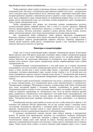 Борис Федорович Сергеев: «Занимательная физиология»
Чтобы управлять таким сложно устроенным органом, понадобилось создать специальный
командный пункт. Поэтому у электрических рыб появился особый отдел мозга – электрические
доли и овальные ядра в продолговатом мозгу. Овальные ядра – верховный командный пункт,
который принимает решение о применении грозного оружия и отдает приказ в электрические
доли. Здесь совершается самая сложная работа по координации разряда. Ведь для того чтобы
разряд достиг максимальной силы, все пластинки должны разрядиться строго одновременно.
Этим и заняты электрические доли.
Чтобы одновременно дать разряд, все пластинки должны одновременно получить
соответствующий приказ, нервный импульс. Вот в этом-то и состоит трудность. Нервный
импульс распространяется относительно медленно, в спинном мозгу рыб со скоростью 30
метров в секунду. Поэтому пластинки, лежащие в начале органов, вблизи головы, получат
приказ значительно раньше, чем в конце, расположенные на полтора метра дальше.
Как электрические рыбы добиваются, чтобы приказы приходили одновременно?
Возможно, приказы к хвостовой части органа посылаются раньше, чем к головной, а может,
рыбы регулируют скорость распространения нервного импульса. Характер управления в
течение жизни меняется: рыбы растут, электрические органы у них становятся больше, и
команды приходится посылать по-другому.
Локаторы и осциллографы
Угорь, скат и сом не единственные рыбы, имеющие электрические органы. В настоящее
время известно около 300 других видов рыб, способных давать слабые электрические разряды
напряжением от 0,2 до 2 вольт. Первоначально ученые думали, что эти рыбы убивают очень
мелких животных. Но тщательные наблюдения не подтвердили этого предположения. Лишь
недавно стало понятно, зачем нужны электрические органы, вырабатывающие очень слабый
электрический ток.
Совершенствование электрооснащенности у этих рыб пошло не в сторону увеличения
силы разрядов, а по пути усиления электрочувствительности. Было замечено, что многие из них
живут в очень мутной воде и ведут ночной образ жизни, а некоторые, например нильский
длиннорыл, постоянно разыскивают корм, засунув голову глубоко в ил. В мутной воде или
ночью своевременно заметить опасного хищника очень трудно. У электрических рыб возникло
удивительное приспособление, позволяющее обнаруживать приближение врага даже в полной
темноте.
В отличие от рыб, использующих электричество для охоты, у нильского длиннорыла есть
не только электростанция, но и специальный орган, очень чувствительный к электричеству.
Электростанция генерирует 300 разрядов в секунду, создавая вокруг рыб слабое электрическое
поле очень постоянной формы с силовыми линиями, сходящимися на уровне головы.
Электрические рыбы в отличие от всех остальных даже плавают, не изгибая собственного тела,
чтобы не нарушить окружающее их электрическое поле. Если же вблизи появится крупная
рыба, однородность электрического поля нарушится. Тело рыбы более электропроводно, чем
окружающая пресная вода, поэтому силовые линии сдвинутся в сторону приближающейся
рыбы. Электрочувствительные приборы длиннорыла это сразу улавливают, и он бросается
наутек.
Своеобразный локатор служит рыбам не только для того, чтобы спасаться от врагов. С его
помощью они свободно обходят препятствия, так же как летучие мыши с помощью своего
эхо-локатора. Большинство предметов, с которыми рыбы могут столкнуться в воде, плохо
проводят электричество. Силовые линии от таких предметов отталкиваются, что позволяет
длиннорылам отличать одушевленные предметы от неодушевленных.
С помощью электрической локации находят свою добычу морские и пресноводные
миноги. В мутной воде пресноводных водоемов эта способность особенно необходима.
Удивительное существо – рыба-нож, живущая у берегов Америки, в тропической части
Атлантического океана, несет свой локатор на хвосте. Поэтому расселины между скал и
проходы в подводной растительности она исследует, пятясь задом и засовывая хвост в каждую
дырку. Такой способ очень удобен, он всегда позволяет рыбе вовремя удрать, если в засаде
76
 