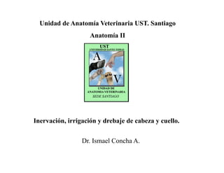 Inervación, irrigación y drebaje de cabeza y cuello.
Unidad de Anatomía Veterinaria UST. Santiago
Anatomía II
Dr. Ismael Concha A.
 