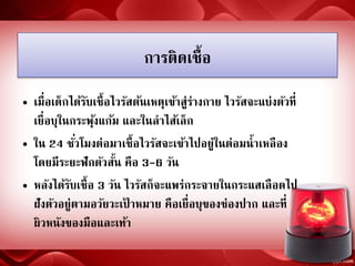 การติดเชื้อ
• เมื่อเด็กได้รับเชื้อไวรัสต้นเหตุเข้าสู่ร่างกาย ไวรัสจะแบ่งตัวที่
เยื่อบุในกระพุ้งแก้ม และในลาไส้เล็ก
• ใน 24 ชั่วโมงต่อมาเชื้อไวรัสจะเข้าไปอยู่ในต่อมน้าเหลือง
โดยมีระยะฟักตัวสั้น คือ 3-6 วัน
• หลังได้รับเชื้อ 3 วัน ไวรัสก็จะแพร่กระจายในกระแสเลือดไป
ฝังตัวอยู่ตามอวัยวะเป้ าหมาย คือเยื่อบุของช่องปาก และที่
ผิวหนังของมือและเท้า
 