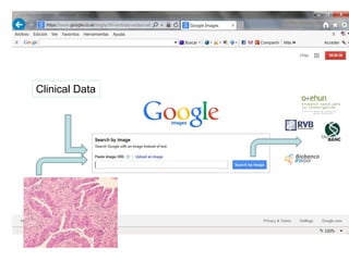 Clinical Data  