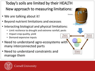 Today’s soils are limited by their HEALTH
New approach to measuring limitations:
• We are talking about it!
• Beyond nutrient limitations and excesses
• Interacting biological and physical limitations:
• Limit resilience to drought and extreme rainfall, pests
• Impact crop quality, yield
• Demand expensive inputs
• Need to understand agro-ecosystems with
many interconnected parts
• Need to understand constraints and
manage them
Physical
processes
Biological
processes
Chemical
processes
Soil Health
 
