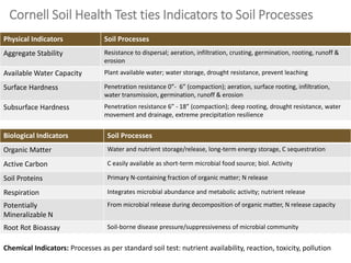Biological Indicators Soil Processes
Organic Matter Water and nutrient storage/release, long-term energy storage, C sequestration
Active Carbon C easily available as short-term microbial food source; biol. Activity
Soil Proteins Primary N-containing fraction of organic matter; N release
Respiration Integrates microbial abundance and metabolic activity; nutrient release
Potentially
Mineralizable N
From microbial release during decomposition of organic matter, N release capacity
Root Rot Bioassay Soil-borne disease pressure/suppressiveness of microbial community
Cornell Soil Health Test ties Indicators to Soil Processes
Chemical Indicators: Processes as per standard soil test: nutrient availability, reaction, toxicity, pollution
Physical Indicators Soil Processes
Aggregate Stability Resistance to dispersal; aeration, infiltration, crusting, germination, rooting, runoff &
erosion
Available Water Capacity Plant available water; water storage, drought resistance, prevent leaching
Surface Hardness Penetration resistance 0”- 6” (compaction); aeration, surface rooting, infiltration,
water transmission, germination, runoff & erosion
Subsurface Hardness Penetration resistance 6” - 18” (compaction); deep rooting, drought resistance, water
movement and drainage, extreme precipitation resilience
 