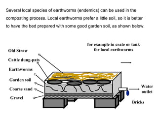 Several local species of earthworms (endemics) can be used in the 
composting process. Local earthworms prefer a little soil, so it is better 
to have the bed prepared with some good garden soil, as shown below. 
for example in crate or tank 
for local earthworms 
Water 
outlet 
Bricks 
Old Straw 
Cattle dung-pats 
Earthworms 
Garden soil 
Coarse sand 
Gravel 
 
