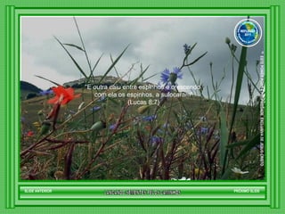 “ E outra caiu entre espinhos e crescendo  com ela os espinhos, a sufocaram” (Lucas 8:7) SLIDE ANTERIOR PRÓXIMO SLIDE LANCANDO SEMENTES PELOS CAMINHOS ™  ESTE POWER POINT E PROPRIEDADE  EXCLUSIVA DE JESUS CRISTO GRUPO LANÇANDO SEME NTES PELOS CAMINHOS REFLEXÃO 2011 