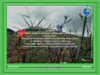 Cuidados.  Como Marta, estamos ansiosos e afadigados com muitas coisas  (Lucas 10:41).  Nossos pensamentos estão constantemente direcionados  ao trabalho e a tudo o que nos interessa.  Precisamos distinguir entre estarmos ocupados com  nossas tarefas e estarmos ocupados de nossas tarefas!  SLIDE ANTERIOR PRÓXIMO SLIDE LANCANDO SEMENTES PELOS CAMINHOS ™  ESTE POWER POINT E PROPRIEDADE  EXCLUSIVA DE JESUS CRISTO GRUPO LANÇANDO SEME NTES PELOS CAMINHOS REFLEXÃO 2011 